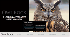 Desktop Screenshot of owlrock.com