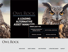 Tablet Screenshot of owlrock.com